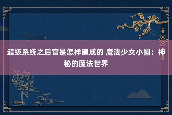 超级系统之后宫是怎样建成的 魔法少女小圆：神秘的魔法世界