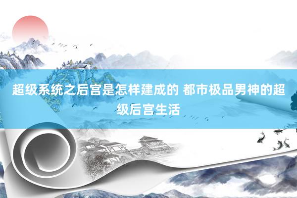 超级系统之后宫是怎样建成的 都市极品男神的超级后宫生活