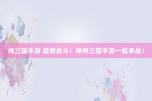 纯三国手游 超燃战斗！神将三国手游一起来战！