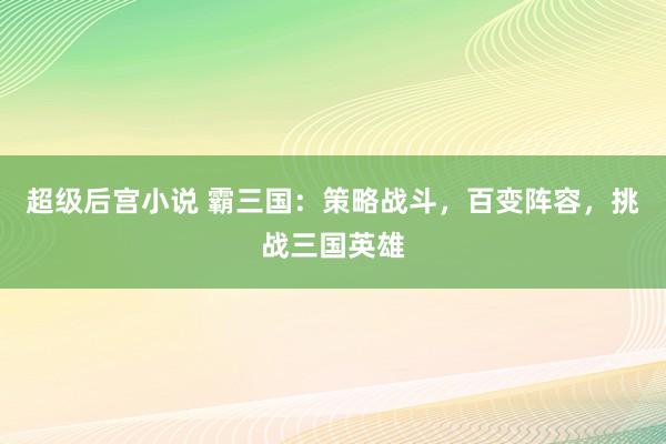 超级后宫小说 霸三国：策略战斗，百变阵容，挑战三国英雄